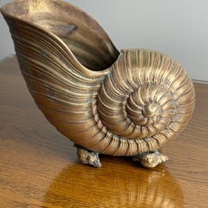 Può includere: Un vaso decorativo a forma di conchiglia color bronzo. Il vaso presenta un motivo a spirale sul lato arrotondato e una parte superiore liscia e aperta. Poggia su tre piccoli piedini strutturati. Il design ricorda una conchiglia di nautilus.