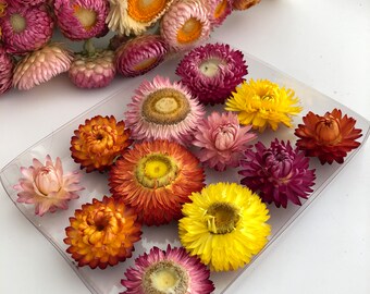 Strawflowers, 100 Dried Flowers, Real Whole  Flowers, Wedding Decorations, Craft Supplies, Flower Girl Flowers, Biodegradable, Centerpieces