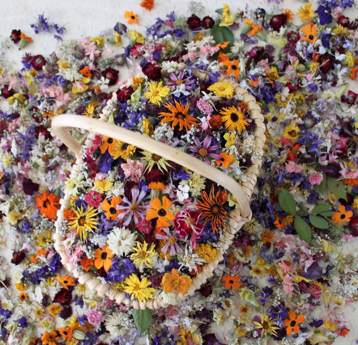 Dried Flower Confetti Wedding Confetti Real Dry Flower Etsy
