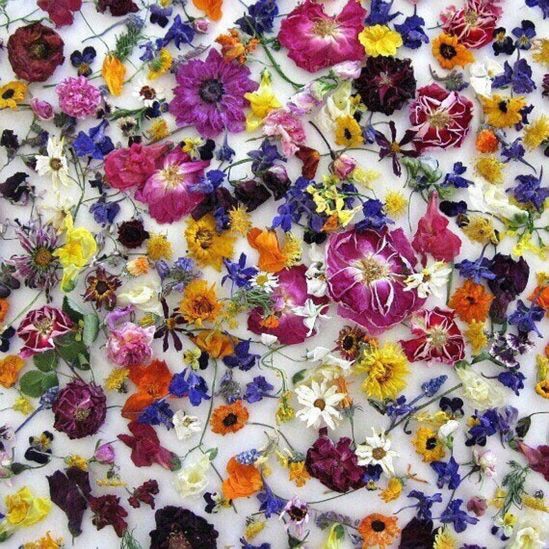 Dried Flower Confetti Wedding Confetti Real Flower Petals Etsy