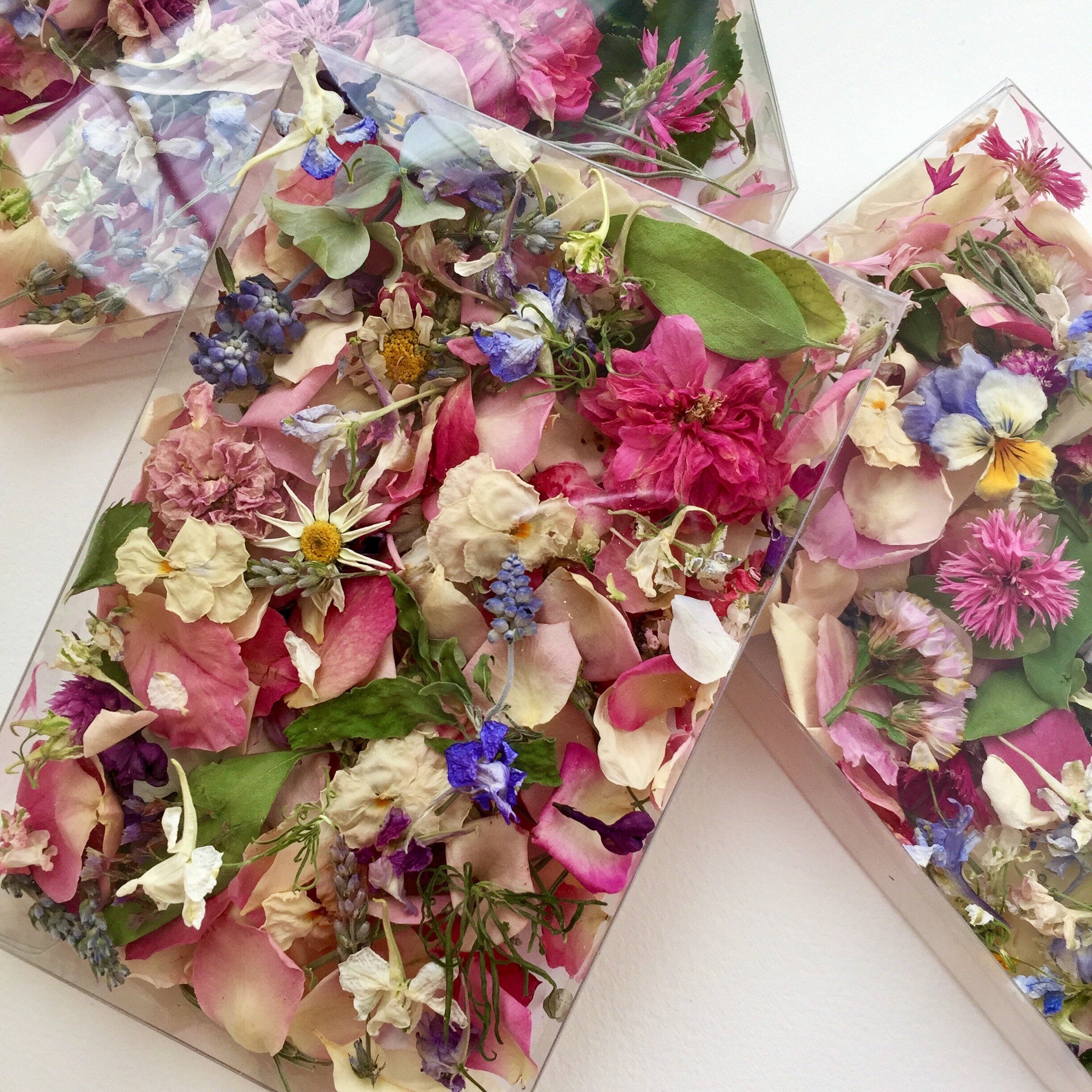 Dry Flower Confetti Flower Girl Wedding Confetti Table Etsy