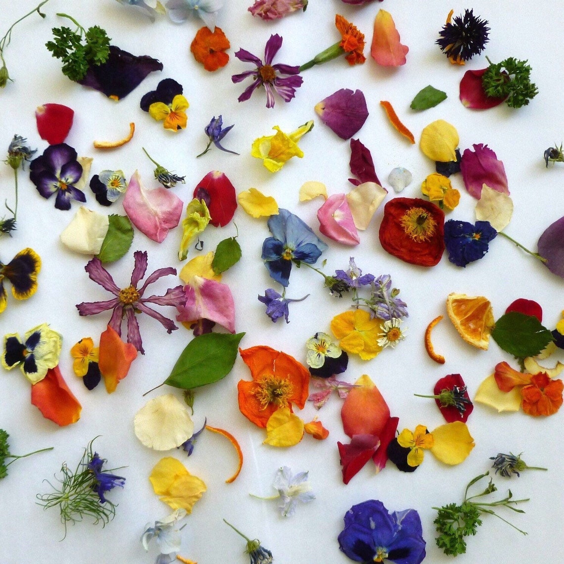 Biodegradable Wedding Favors Dried Flowers Real Flower Etsy