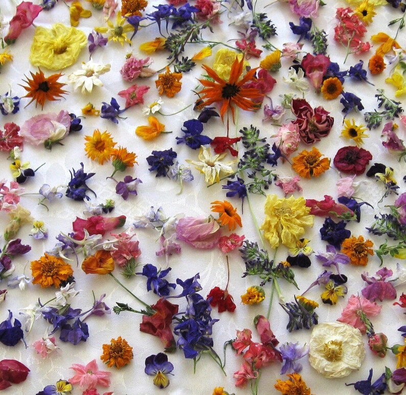 flower girl petals real