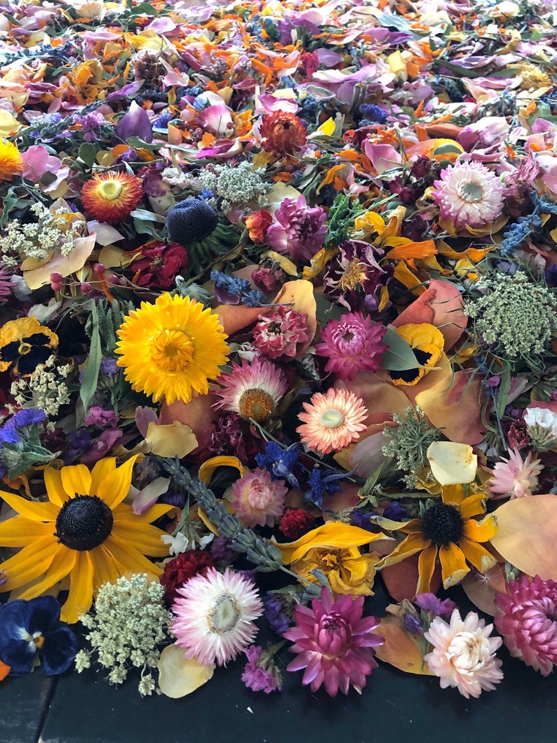Dried Flower Confetti Wedding Confetti Real Flower Petals Etsy