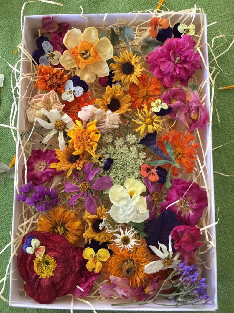 Dried Flowers Wedding Confetti Dry Wildflowers Craft Etsy