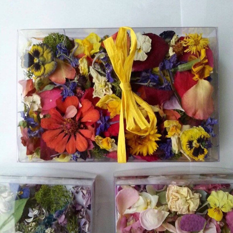 Biodegradable Favors Dry Flower Confetti Dried Flowers Etsy