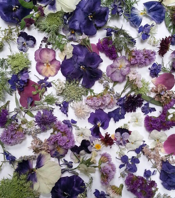 biodegradable flower girl petals
