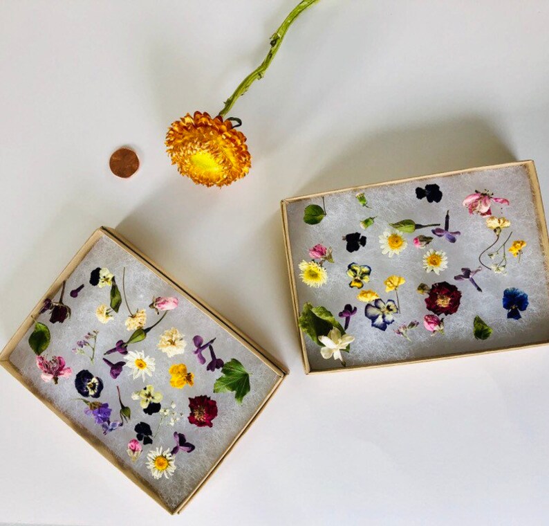 Resin Jewelry Making Assorted Real Flowers Real Tiny Dried Flowers Miniature Rosebuds Small Violas Whole Dry Flowers Craft Supply Flowers Home Living Safarni Org