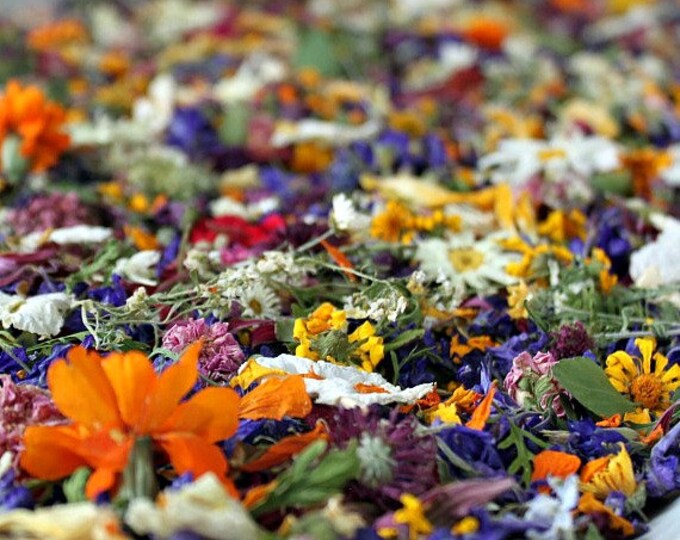 Dried Flower Confetti Wedding Confetti Real Flower Petals Etsy
