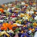 Dried Flower Confetti, Wedding Confetti, Real Dry Flower Petals, USA, Dried Flowers,  Wedding Decor, Tossing Flower, Flower Girl, Confetti 