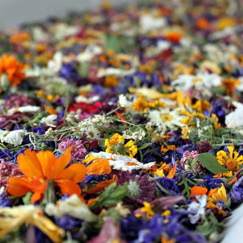 Dried Flower Confetti Wedding Confetti Real Dry Flower Etsy