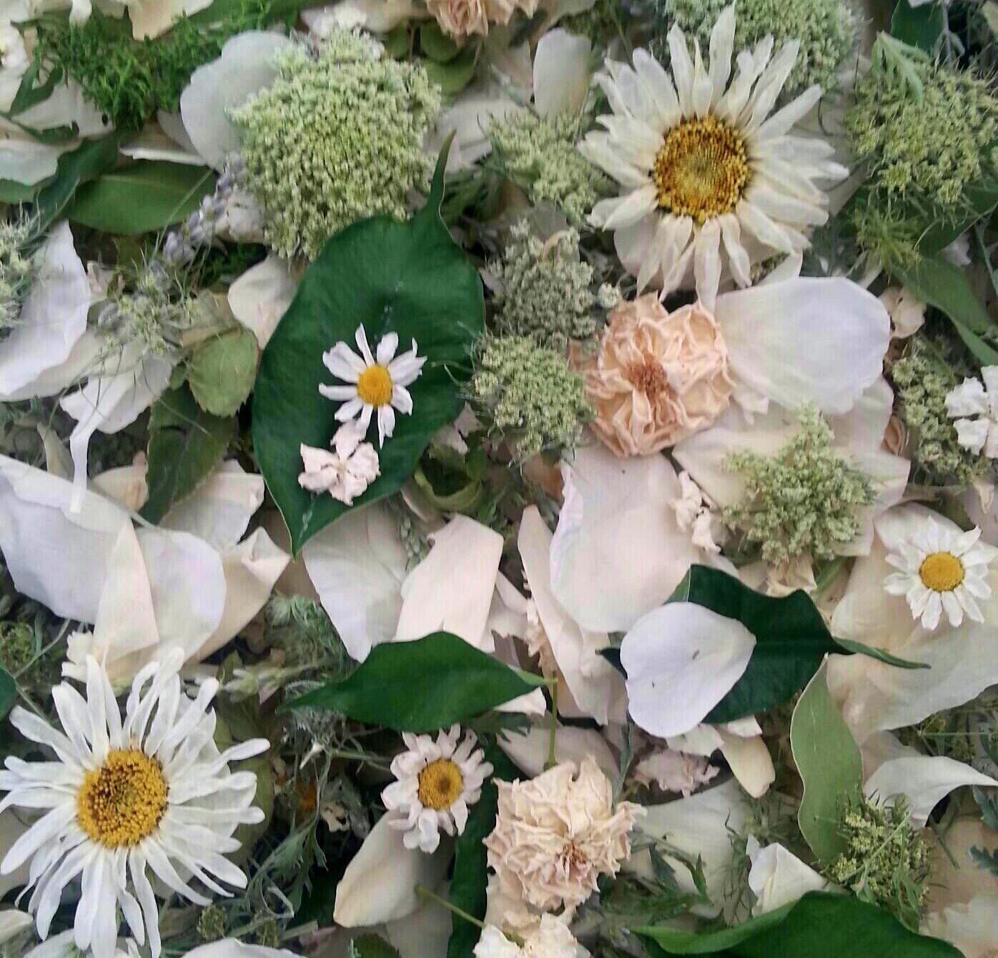 Bulk Dried Flower Confetti Wedding Confetti Bulk Confetti Etsy