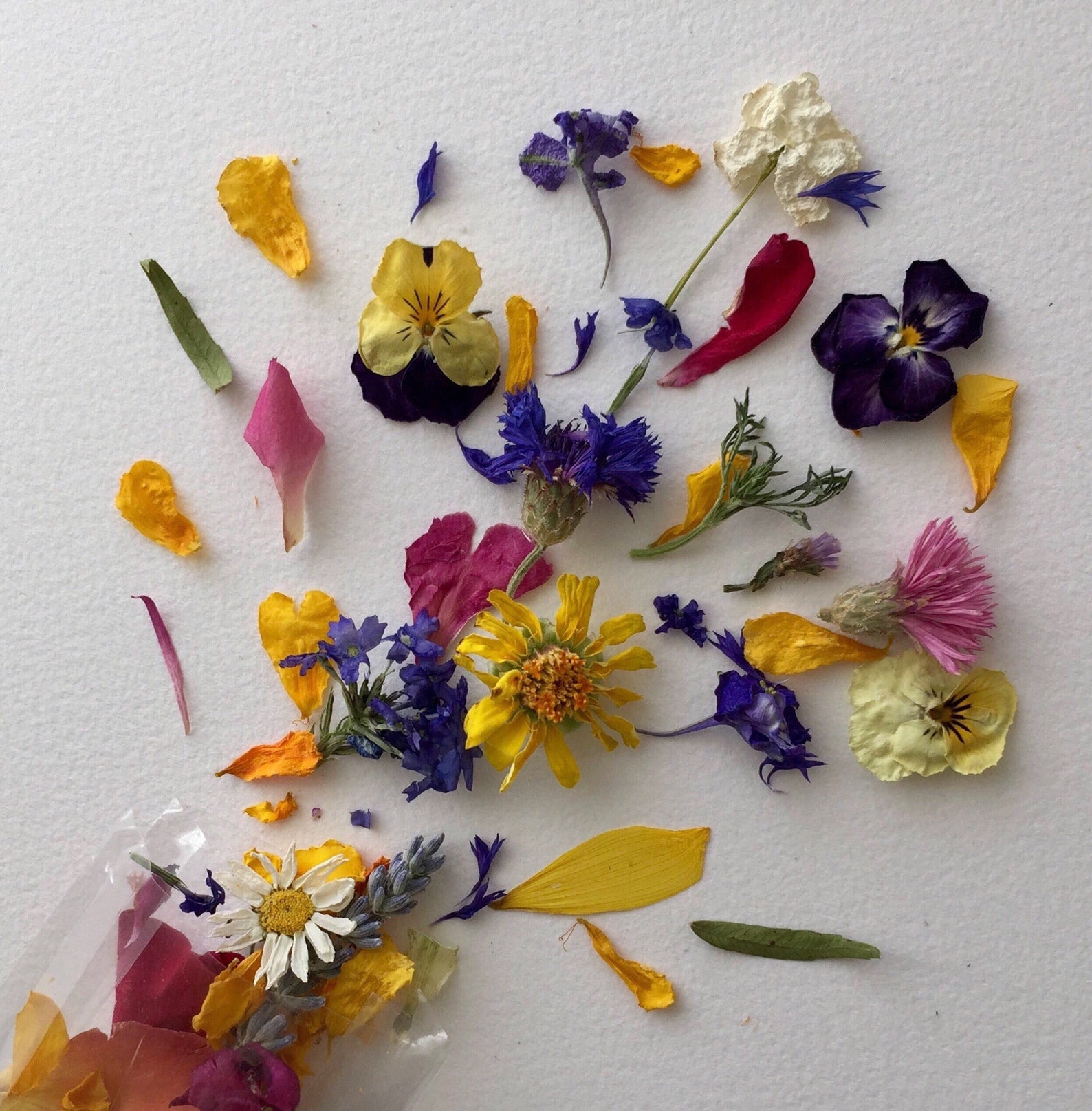 Dried Flower Confetti Wedding Confetti Real Dry Flower Etsy