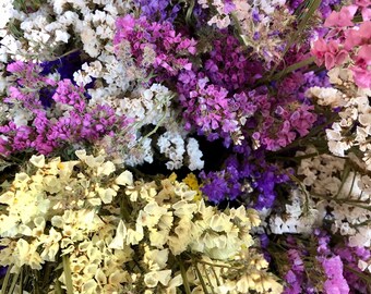 Dried flower Bouquet, Dried Statice Growers Bunch, Wedding Flowers, Craft Supply, Floral Supply, Flower Stems, Wreath Supply
