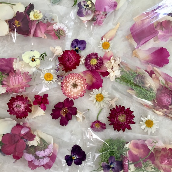 floral and petals