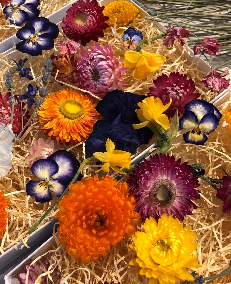 Dried Flowers Wedding Confetti Dry Wildflowers Craft Etsy