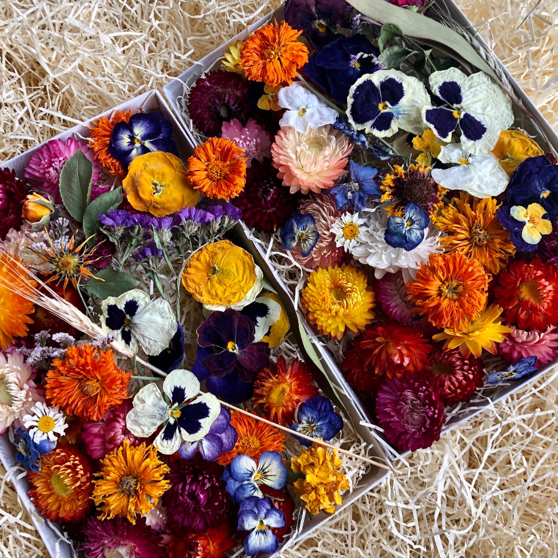 Dried Flowers Wedding Confetti Dry Wildflowers Craft Etsy