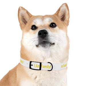 May include: A white dog collar with black hardware and the text "I Am Family!" in yellow letters.