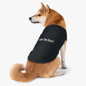 May include: A brown and white dog wearing a black dog shirt with the text "I Am The Boss!" printed in white.