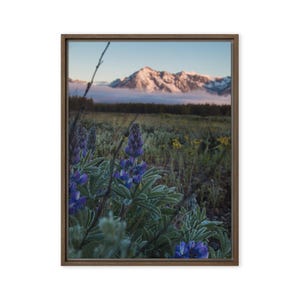 Purple Rain Framed Canvas