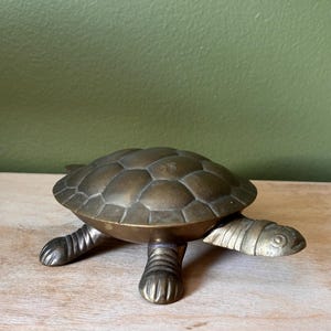 May include: A brass turtle figurine featuring a segmented shell with a smooth, metallic finish. The turtle is depicted in a crawling position with four legs and a head extended forward, showcasing detailed etched lines on the limbs and head.