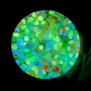 Glow-In-The-Dark Eco-Friendly Reusable Picky Pad: Tactile Sensory Fidget for Adults & Teens