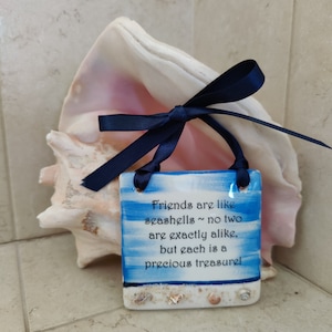 Friends are like seashells. No two are exactly alike but each is a precious treasure. With real Seashell decorations Collective Gift Plaque