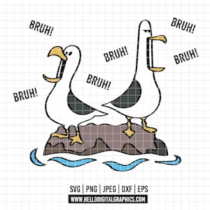 Può includere: Illustrazione di cartoni animati di due gabbiani su una roccia, con la parola "BRUH!" in fumetti. I gabbiani sono bianchi con segni neri sulle ali e becchi e zampe gialle. Acqua blu in basso.