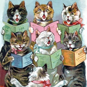 Vintage carte de correspondance vierge chats fait main anniversaire vacances merci rétablissement
