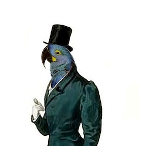 Sir Parrot Kabinett der Raritäten leere Note Karte handgemacht Geburtstag Muttertag Abschlussfeier Danke gut