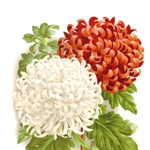Beau chrysanthème fleurs de printemps carte de correspondance vierge fête des mères Pâques vacances fait main anniversaire Merci