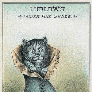 Ludlow's Fine Shoes Cartão de nota de propaganda vintage feito à mão para amantes de gatos de aniversário, formatura, obrigado, fique bem