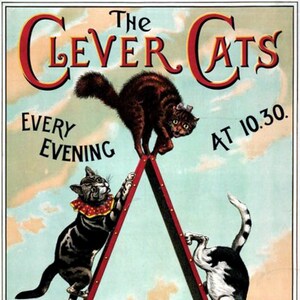 Vintage Cat Clever Cats Blank Não Cartão Feito à Mão Dia das Mães Páscoa Aniversário Obrigado