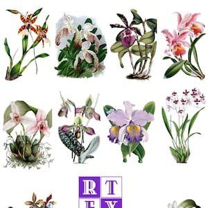 Collection d'orchidées n° 2, lot de 10 cartes vierges, images vintage faites main, anniversaire, printemps, jardin