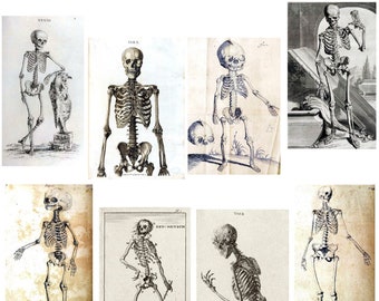 Skeleton Collection #2 Vintage Image Note Cards Handmade Anatomy Illustrations Blank Birthday Christmas