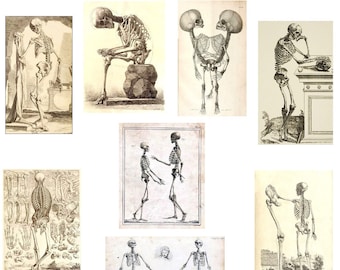 Skeleton Collection #1 Vintage Images Notecards Handmade Anatomy Illustrations 10 Card Set Birthday Halloween Get Well Thank You