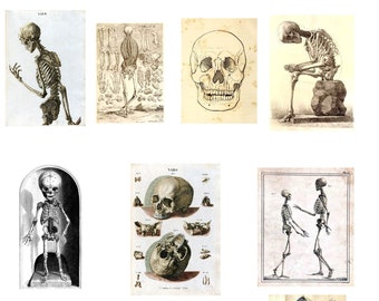 Boney Bits Note Card Collection 10 Designs Blank Cards Handmade Vintage Images Birthday Thank You