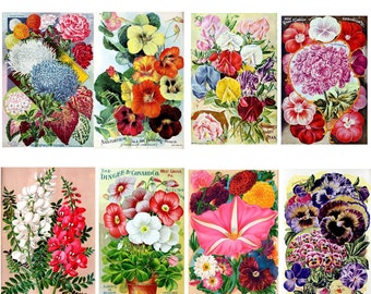 Vintage Seed And Garden Catalogs Blank Note Cards. Handmade 10 Different Cards Birthday Thank You