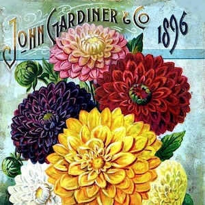 Catalogue John Gardiner & Co. Carte vierge non faite à la main pour les fêtes, anniversaire, merci, rétablissement