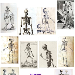 Skeleton Collection #2 Vintage Image Note Cards Handmade Anatomy Illustrations Blank Birthday Holiday Thank You Get Well