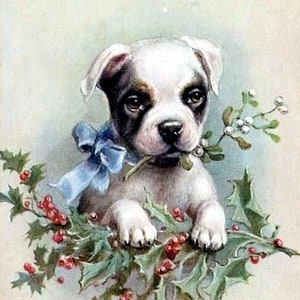 Holiday Puppy Vintage Christmas Seasons Greetings Holiday Yule Cards Thank You