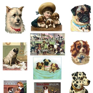 Caixa de cachorro vintage #2 Conjunto de cartões em branco com 10 convites para festas, aniversários, feitos à mão, obrigado, melhoras