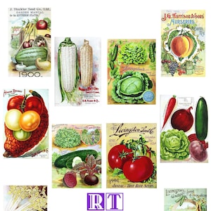 Set di verdure per cataloghi di sementi e giardini vintage n. 6 biglietti per appunti vuoti. 10 biglietti di compleanno diversi fatti a mano, grazie