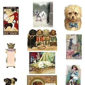 Caixa de cachorro vintage #1 Conjunto de cartões em branco com 10 convites para festas, aniversários, feitos à mão, obrigado, melhoras