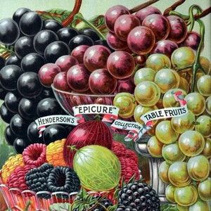 Capa de catálogo de sementes e jardins da coleção de frutas Epicure da Henderson vintage, cartão de nota em branco, primavera, aniversário, feito à mão, feriado, agradecimento