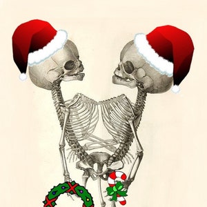 Wij wensen u een vrolijk kerstfeest, seizoensgroeten, kerstkaarten, bedankt verjaardag