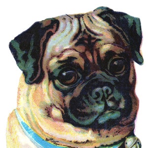 Carte de correspondance vierge vintage pour chiens, faite main, anniversaire, vacances, merci, rétablissement