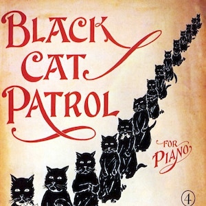 Cartão de agradecimento vintage com imagem da Patrulha do Gato Preto, feito à mão, aniversário, formatura, amante de gatos