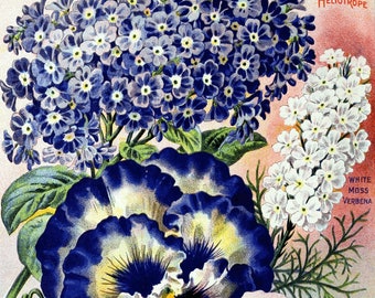 Vintage mammoet heliotroop en viooltjes tuincatalogus blanco notitiekaart lente verjaardag handgemaakte vakantie bedankt