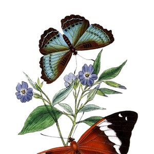 Carte de correspondance vierge avec image vintage papillon fête des mères Pâques fait main printemps anniversaire remise des diplômes merci